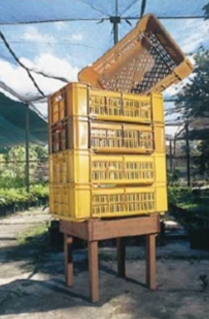 Guacales plásticos usados para la fermentación. Guacales plásticos usados para la fermentación.
