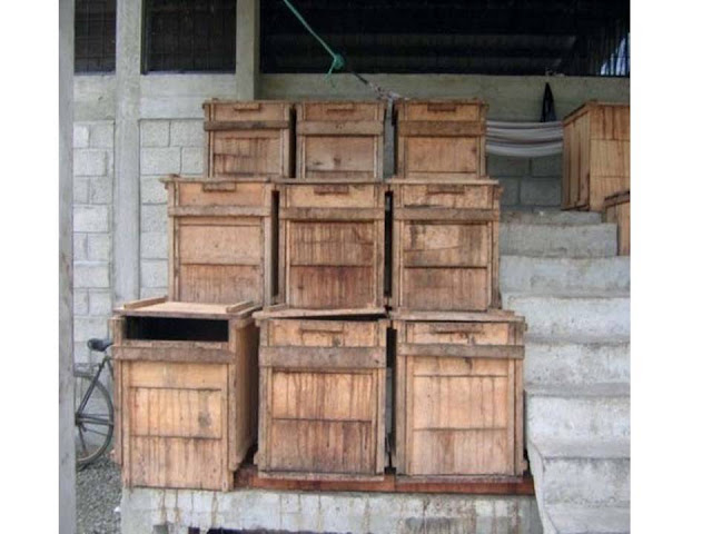 Cajones de fermentación para cacao. Cajones de fermentación para cacao.